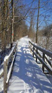 snowy trail bridge