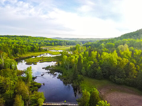 An aerial shot of a forest with a river running through it.