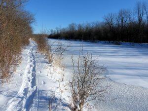 snowy tow path on sunny day