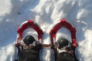 feet in snowshoes