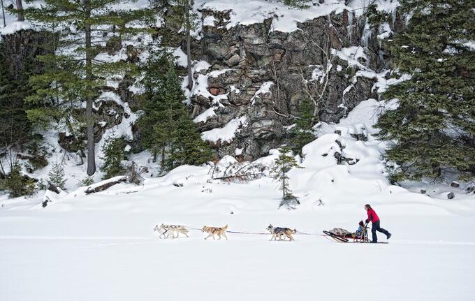 dogsled down frozen river