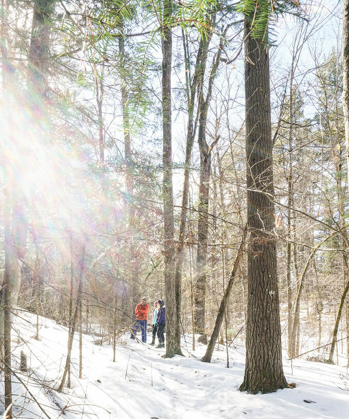 Winter Camping (yes, it's a thing)