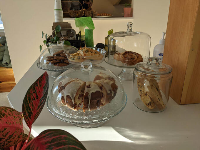 white café counter set with plants and glass domes covering an array of baked goods