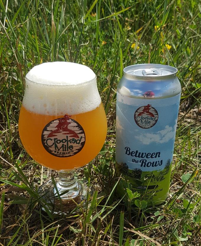 A glass and can of Crooked Mile beer on grass.