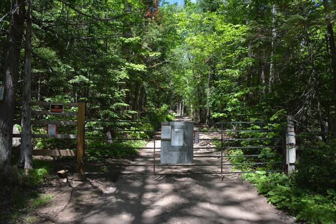 A locked gate on a forested road.