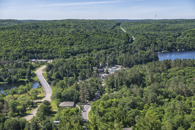 An aerial view of a forested area.