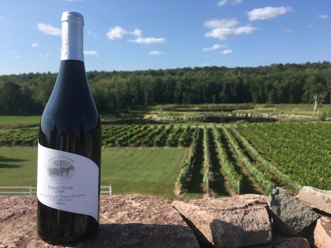 A bottle of wine sits in front of a vineyard scene.