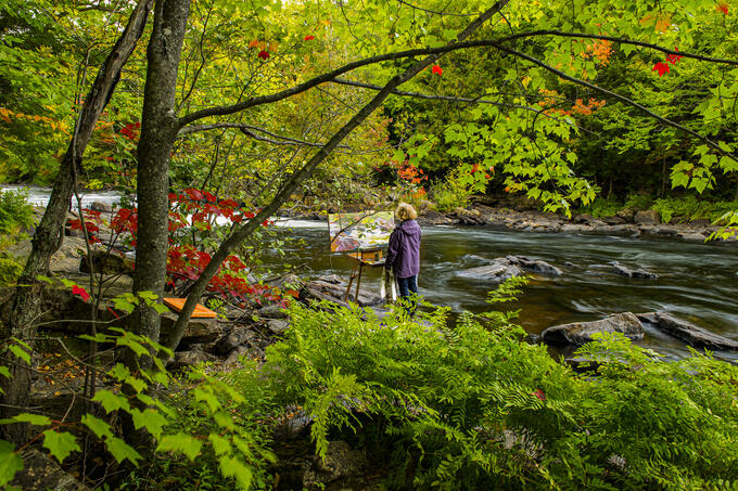 Capturing the Beauty of Fall on Camera | Come Wander