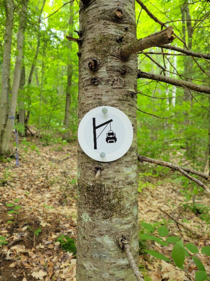 Bruce Backcountry Hiking sign on tree