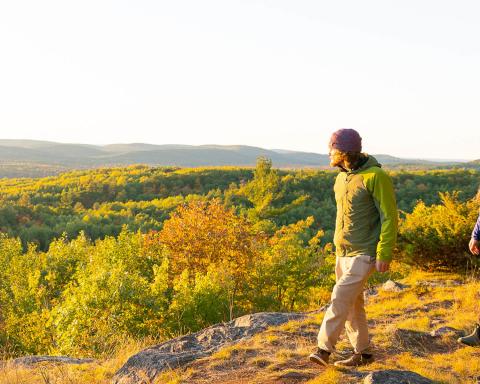 person in earthy green jacket walks along hilltop, looking at sunrise over green forest of similar colour