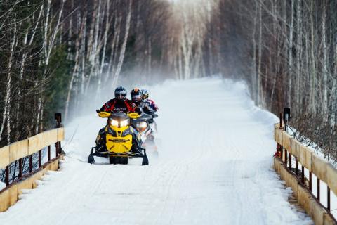 Snowmobilers riding on snowy forest bridge