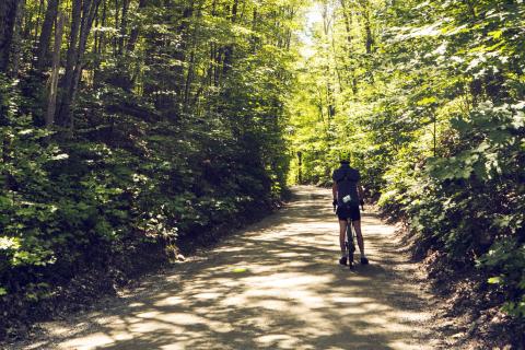 cyclist on lush forest trail
