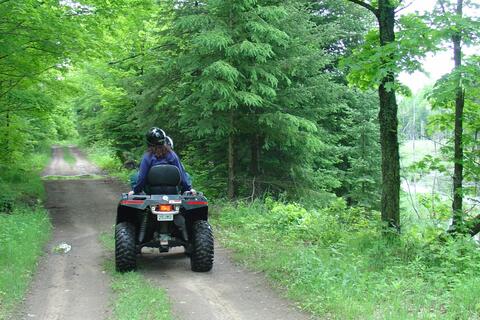 A person on an ATV rides a dirt trail in the lush green forest