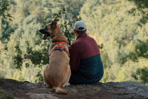 A man and a dog sit overlooking a forest.