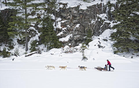 A sled is pulled by four dogs over snowy terrain.