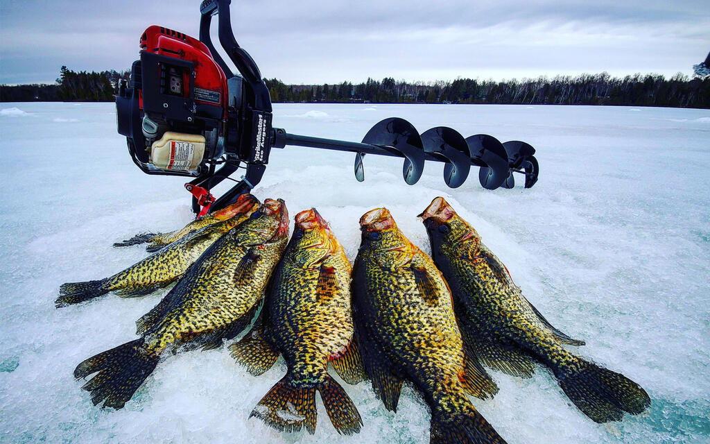 These new ice fishing rods are fire! Which ones catching the most