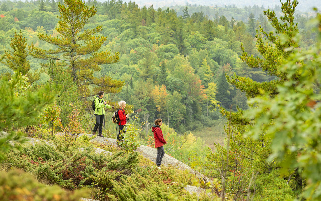 Capturing the Beauty of Fall on Camera | Come Wander