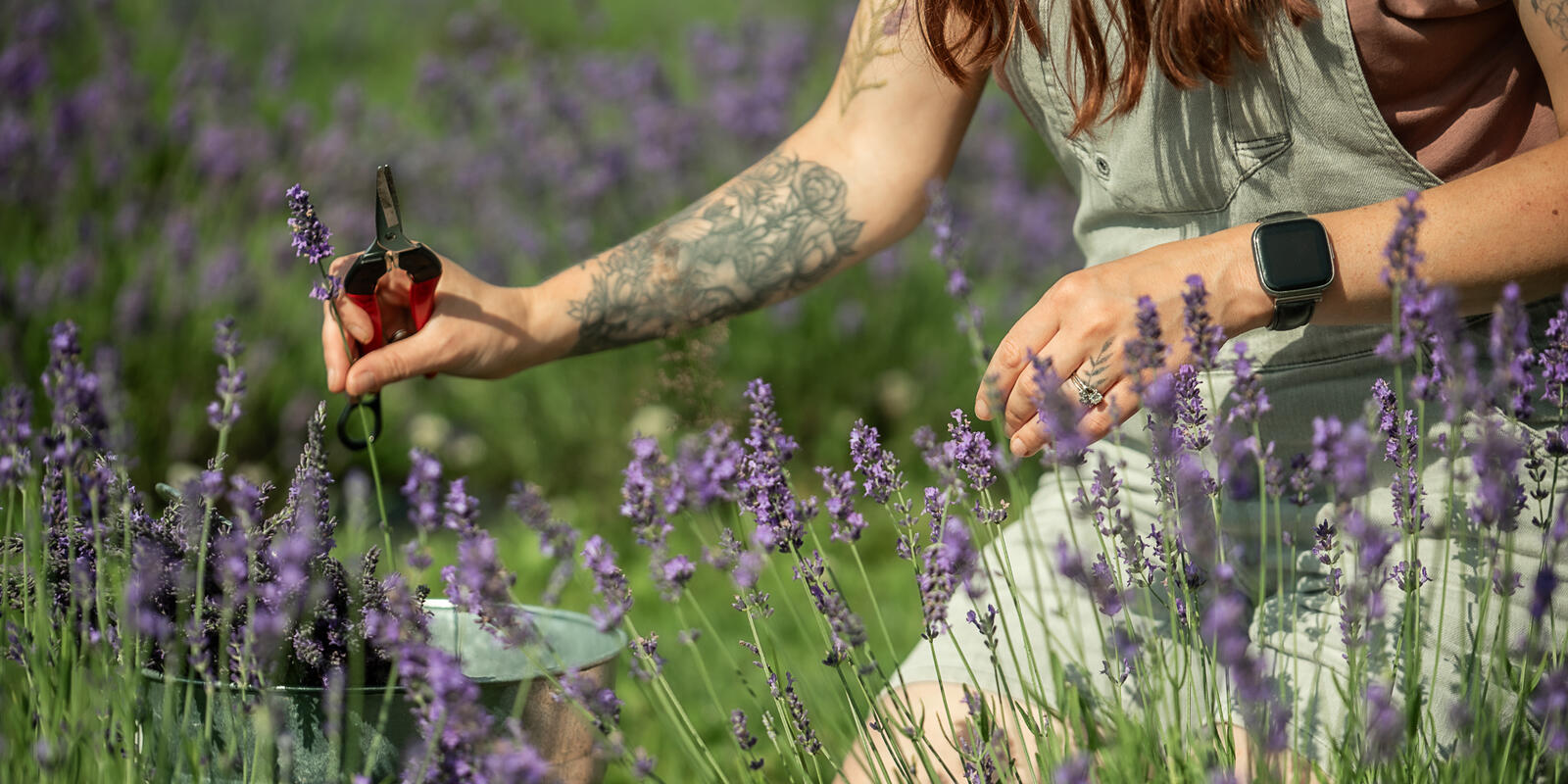 Bloom Where You Wander: Explore Ontario’s Highlands Scenic and U-Pick ...
